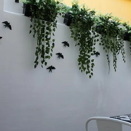 Ocean Center * Кашкайш