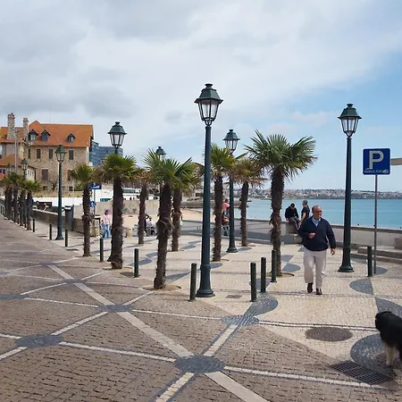 Ocean Center Appartement